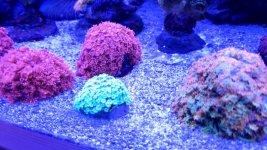 20221107_194641.jpg 20221107_194641.jpg
