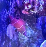 20221105_102054~3.JPG