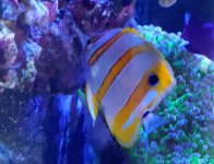 20221105_102101~2.JPG