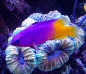 20220716_115017~2.JPG