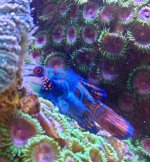 20220716_114158~2.JPG