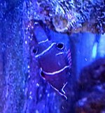 DSC_3113~4.JPG