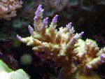 DSCN1685.jpg