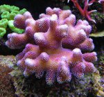 DSCN1678.jpg
