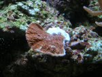 DSCN8857.jpg
