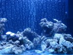 DSC00250.JPG
