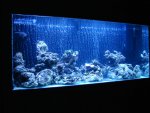 DSC00242.JPG