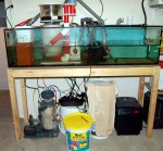 sump.JPG