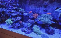 20221113_195801.jpg