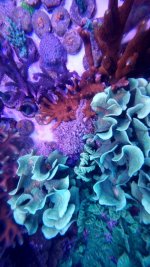 20221116_164934.jpg 20221116_164934.jpg