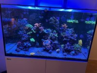 IMG_7327.jpg IMG_7327.jpg