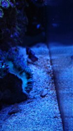 DSC_3123.JPG DSC_3123.JPG