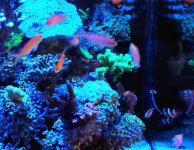 DSC_3126~4.JPG