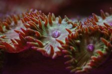 B2140D7B-E927-4C12-80BC-F3B19E1ACB5D.jpeg