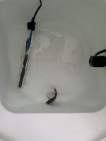IMG_9745.JPEG IMG_9745.JPEG