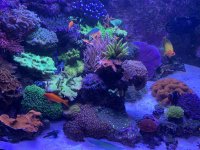 D0351DDD-1AE9-47AF-8A52-8196777A4DF9.jpeg