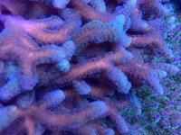 27E992E9-059E-4A81-8430-179AE97E418D.jpeg