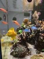IMG_8024.jpg