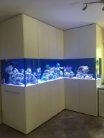 aquarium.jpg