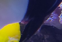 IMG_20221229_104651~2.jpg