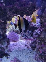 IMG_20221229_104633.jpg