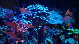DSC_3140.JPG