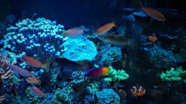 DSC_3141.JPG
