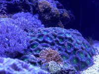 7307E66A-F61A-4CC2-8C60-3C218169E3B1.jpeg