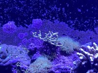 5D134812-3B10-416A-B28D-B078B2981CA5.jpeg