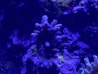 E79D138D-608F-4024-81BA-FFF1DEE89E9B.jpeg