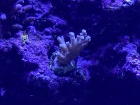 8060F39E-5796-4CAF-82E5-840B5D60183E.jpeg