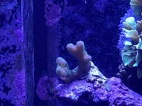 159DDA00-2730-4917-B2F2-5B3C7521D435.jpeg