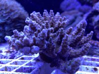 4765A511-7733-4F08-BA21-CF5F073E80AB.jpeg
