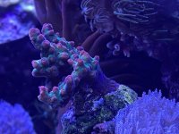 E6688648-CBB5-440D-8DB5-7559CA70F4D9.jpeg