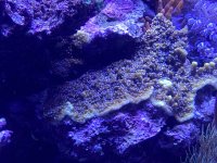 6EE10993-A5FD-4CD5-9EB7-2CE71A6BDF50.jpeg