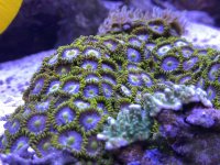 ACE05CCF-D822-4871-8B3F-A19E86637B89.jpeg