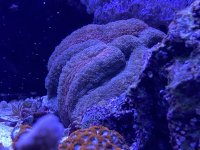 423520AE-D405-4FDF-9D6F-4BF4BA83608E.jpeg