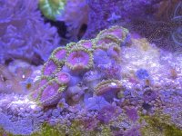 74B504BA-2F20-4D01-AE03-0A4047DD79B3.jpeg