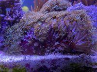 5B74A9D0-64A7-4ABC-9F11-CF11B5362703.jpeg