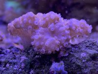 14249E8C-8126-4680-BEE5-19A2D8C27CB8.jpeg