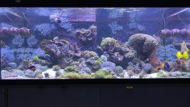 F0E3762A-F68D-4006-B8AF-09A216A2FE0B.jpeg