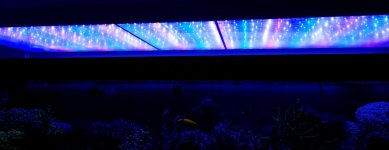 20230102_135241.jpg