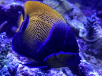 D73FABC6-8EC7-47C4-A45F-51556D771F02.jpeg