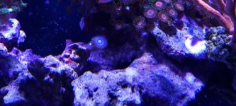 20230104_164437.jpg