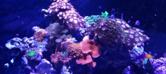20230104_164617.jpg