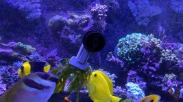 8C33ABCD-62DC-4D0B-AD90-C8631D703051.jpeg