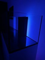 IMG_0515.jpg