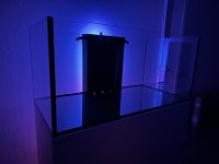 IMG_0517.jpg
