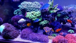 20230107_175524.jpg