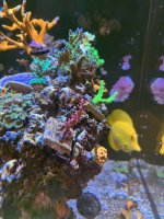 IMG_1359.jpg